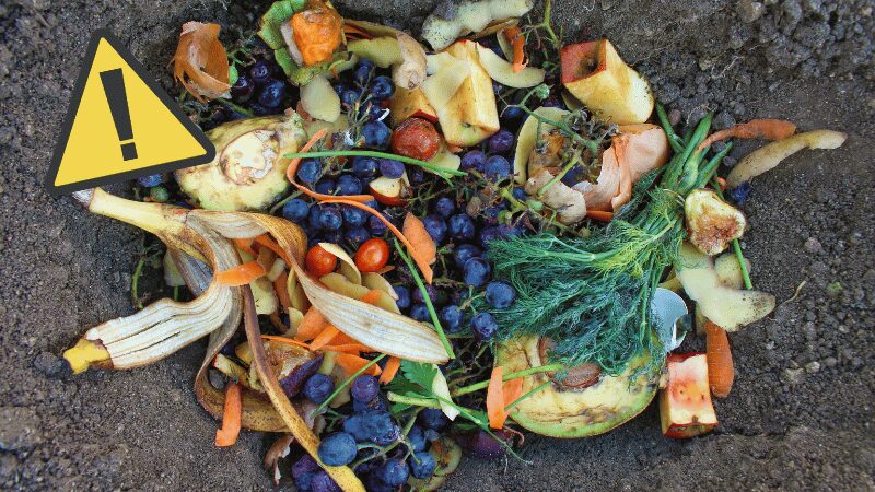 コンポスト初心者が気をつけるべき３つのポイント